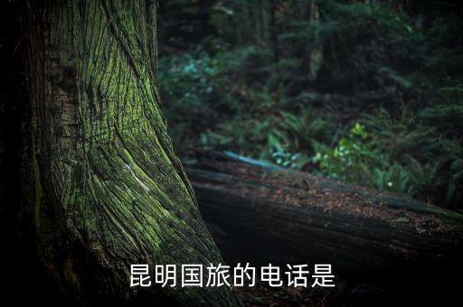 云南未来国际旅行社有限公司电话，云南旅游咨询国旅电话