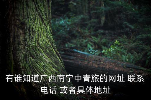 广西中旅旅行社官网电话，请问中旅网客服电话是什么