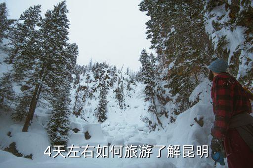 昆明4天自由行攻略，准备在昆明4日游不去滇西北方向目前就想去名族村滇池石