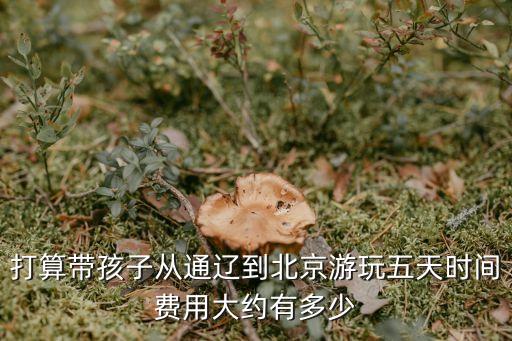 打算带孩子从通辽到北京游玩五天时间费用大约有多少