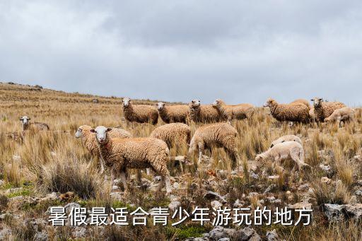 青少年 旅游，什么地方最适合青少年游玩