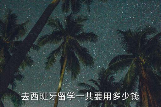 西班牙留学费用一年多少人民币，去西班牙留学一共要用多少钱