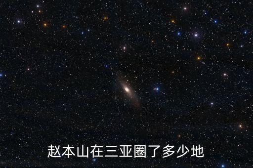 海南三亚半山半岛老板是谁，海南哪个老板最有钱