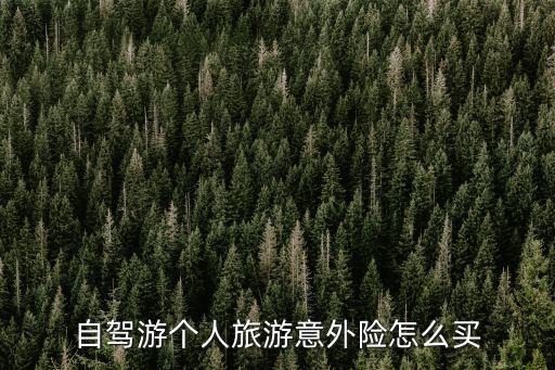 自驾游意外伤害保险，自驾游个人旅游意外险怎么买
