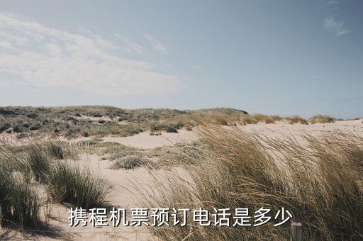 携程机票预订电话是多少