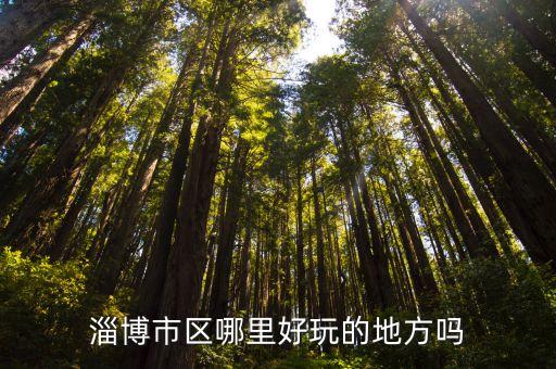 淄博市区哪里好玩的地方吗
