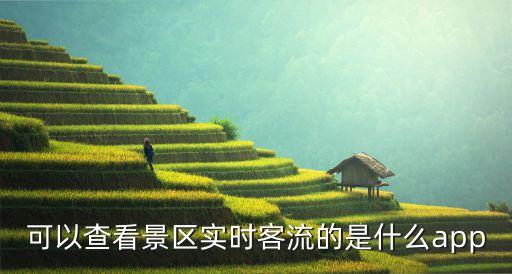 可以查看景区实时客流的是什么app