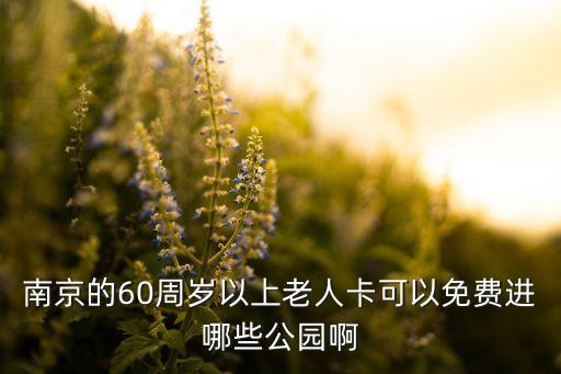 南京的60周岁以上老人卡可以免费进哪些公园啊