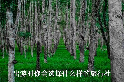 正规旅游团是什么样的，一个好的旅行社要什么样的标准去衡量