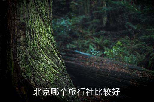 北京哪个旅行社比较好