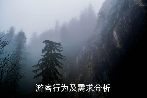 青少年旅游团的需求分析，游客行为及需求分析