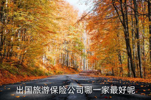 出国旅游保险公司哪一家最好呢