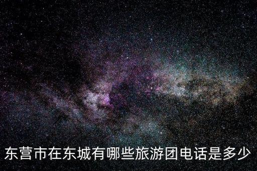 东营市在东城有哪些旅游团电话是多少
