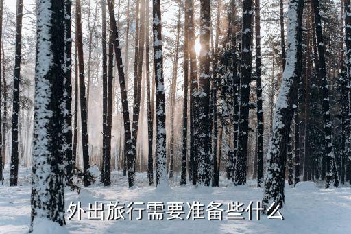 旅行需要带哪些东西，旅游必备物品有哪些