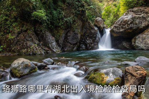 武汉珞狮南路出国体检中心，武汉 珞狮南路附近的出入境检疫中心的具体地址在哪