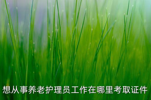 2023年养老护理员证报名官网，养老护理员哪里报名比较好