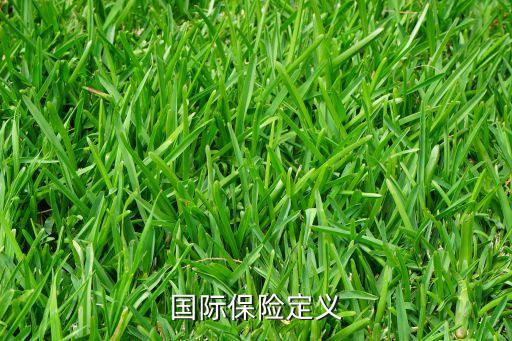 国际保险定义