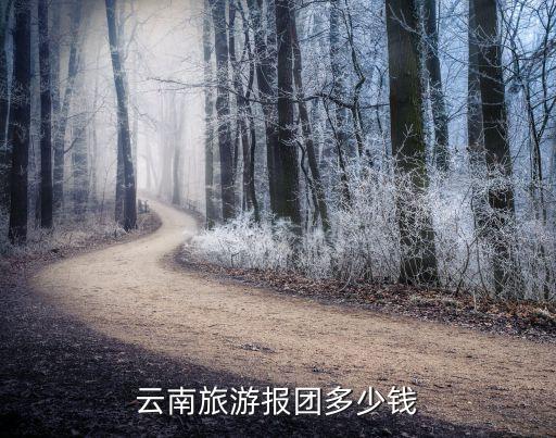 云南旅游报团多少钱