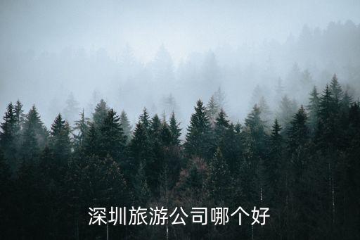 深圳旅游公司哪个好