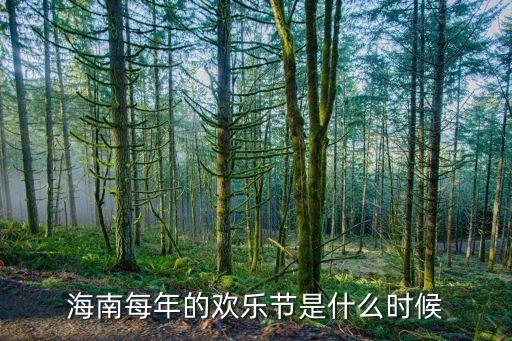 海南每年的欢乐节是什么时候