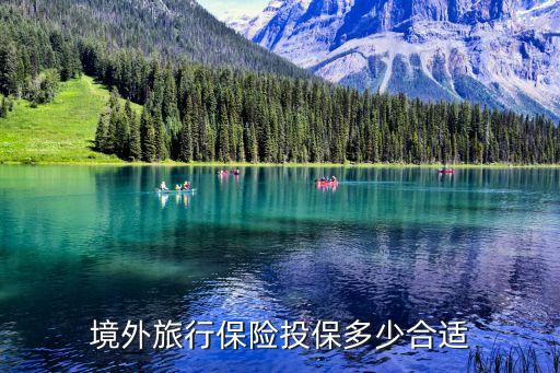 境外旅游险保额，客人出境旅行社上的保险都保额多少