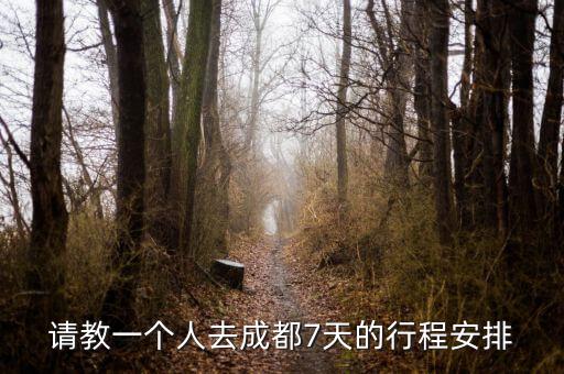 请教一个人去成都7天的行程安排