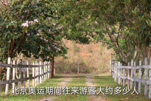 北京旅游人数统计数据，北京五一有多少外国游客