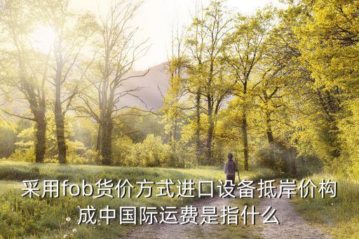 采用fob货价方式进口设备抵岸价构成中国际运费是指什么