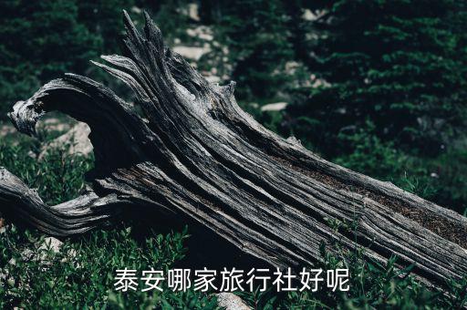 泰安哪家旅行社好呢