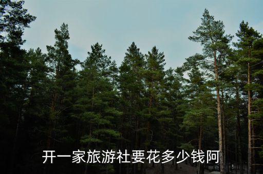 开一家旅游社要花多少钱阿
