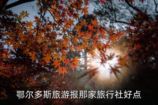 鄂尔多斯旅游报那家旅行社好点