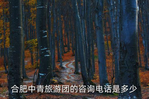 合肥中青旅游团的咨询电话是多少