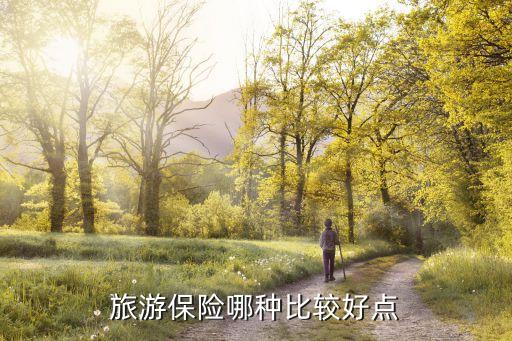 国内旅行保险推荐，最近出去玩需要购买旅行险求推荐