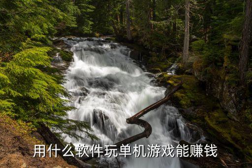 用什么软件玩单机游戏能赚钱