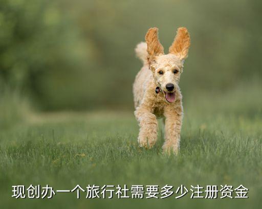 现创办一个旅行社需要多少注册资金