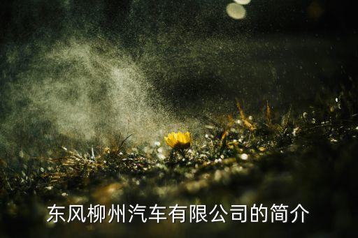 柳州车辆有限公司，东风柳州汽车有限公司的简介