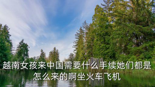 越南女孩来中国需要什么手续她们都是怎么来的啊坐火车飞机