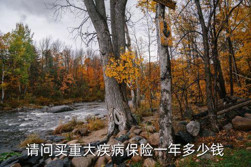 请问买重大疾病保险一年多少钱