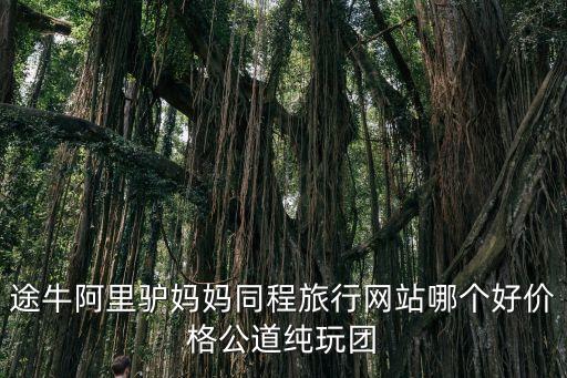 途牛阿里驴妈妈同程旅行网站哪个好价格公道纯玩团