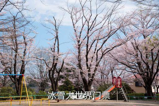冰雪大世界门票