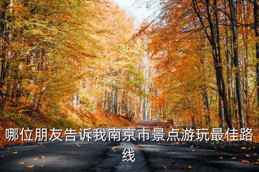 哪位朋友告诉我南京市景点游玩最佳路线