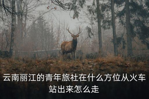 丽江的青年旅舍在哪里，云南丽江的青年旅社在什么方位从火车站出来怎么走