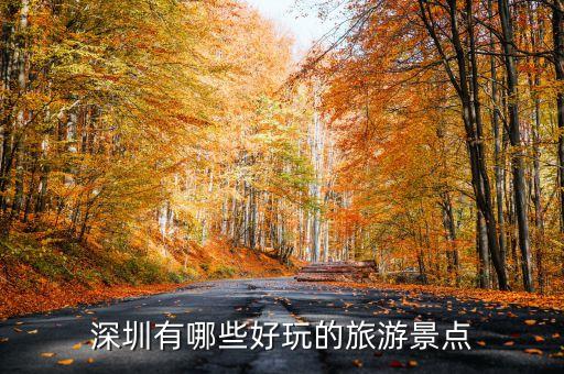 深圳有什么好玩的景点推荐点，深圳有哪些地方好玩介绍一下