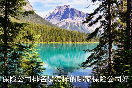 保险公司排名是怎样的哪家保险公司好