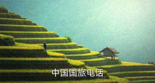 中国国旅电话