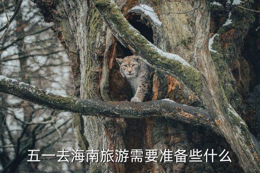 五一去海南旅游需要准备些什么