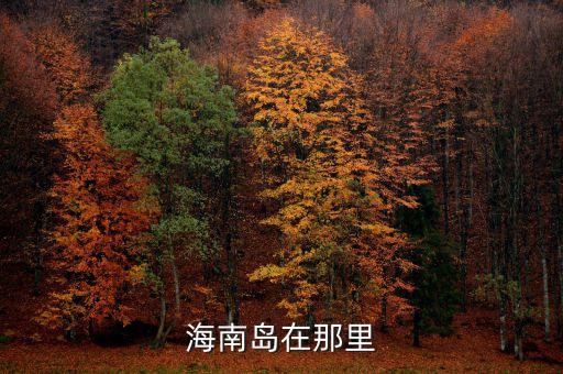 海南岛在那里