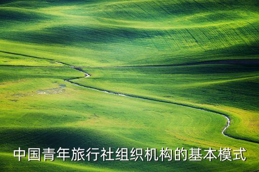 中国青年旅行社组织机构的基本模式