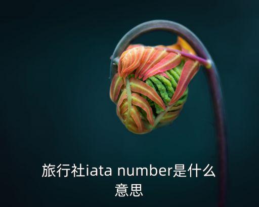 旅行社iata number是什么意思