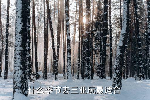 什么季节去三亚玩最适合